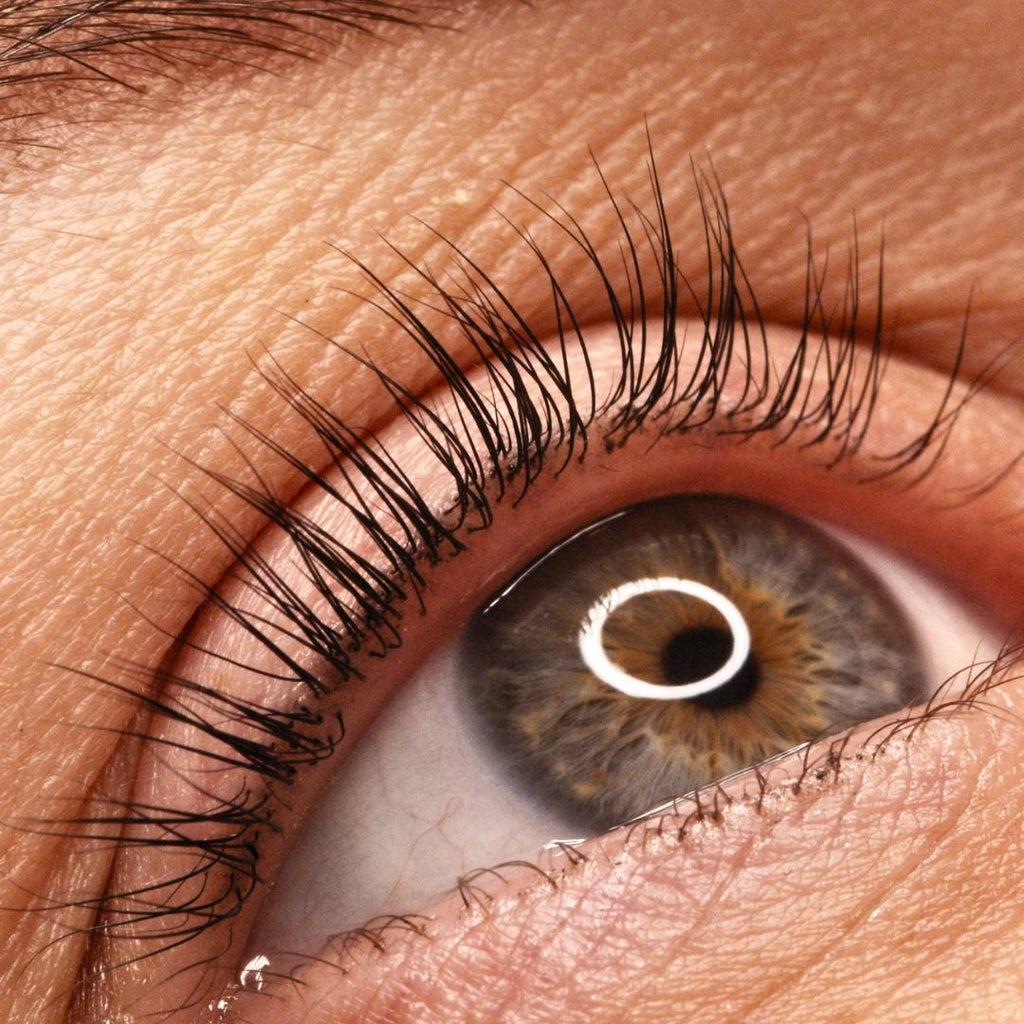 Bow lamination+Lash lift Masterclass