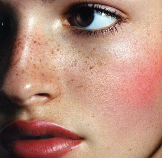 Faux Freckle and Cheek blush spmu Masterclass